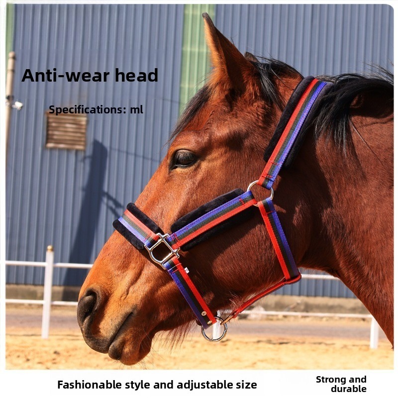 Headcollar Rope Set - 내구성 있는 섬유 소재 말 굴레