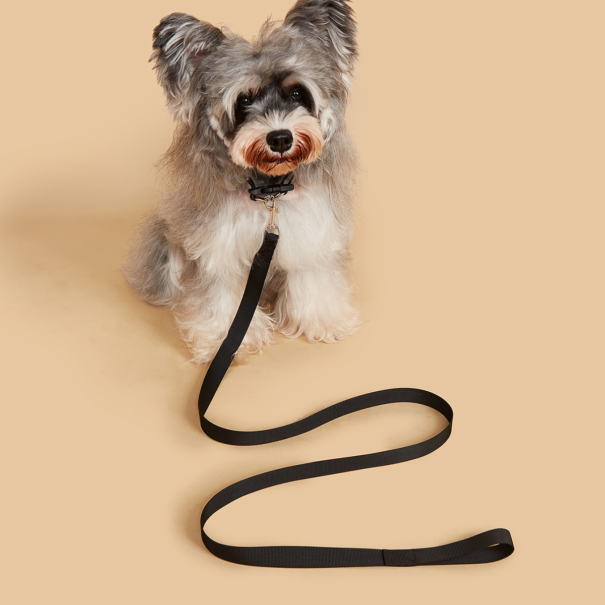 애완동물 목줄 및 목걸이 세트, 튼튼한 개줄, 산책 훈 - Headcollar Rope Set 리뷰 및 가격