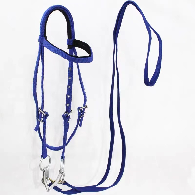 말 고삐와 리드 로프 세트, 조절 가능한 나일론 말 머 - Headcollar Rope Set 리뷰 및 가격