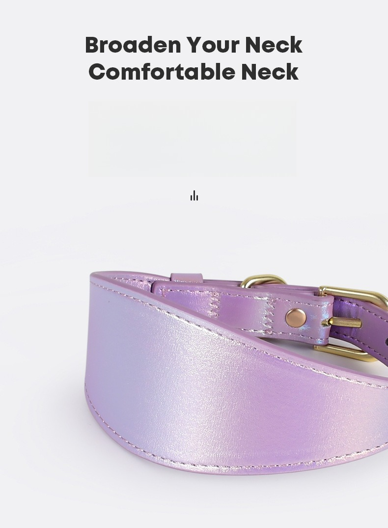 반사 가죽 개 목줄 세트 야간 안전 산책용 내구성 있는 - Headcollar Rope Set 리뷰 및 가격