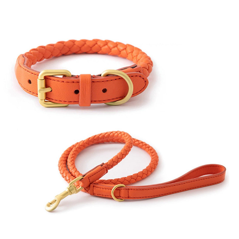 조절 가능한 가죽 꼬임형 반려동물 목줄 및 리드줄 세트 - Headcollar Rope Set 리뷰 및 가격