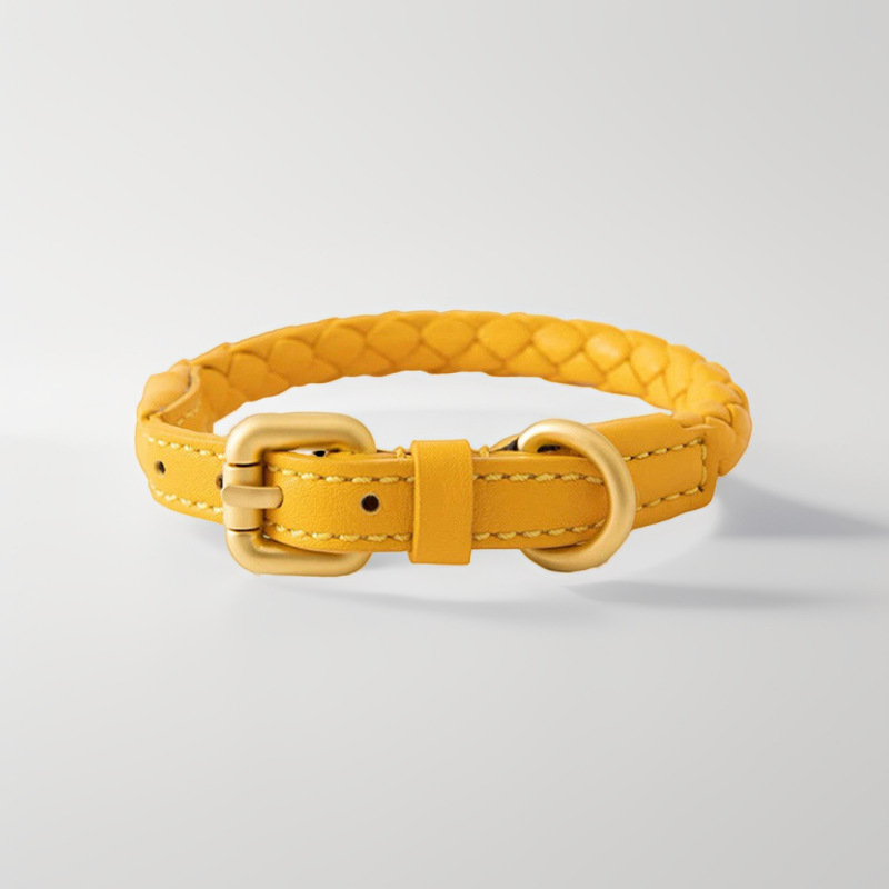 조절 가능한 가죽 꼬임형 반려동물 목줄 및 리드줄 세트 - Headcollar Rope Set 리뷰 및 가격